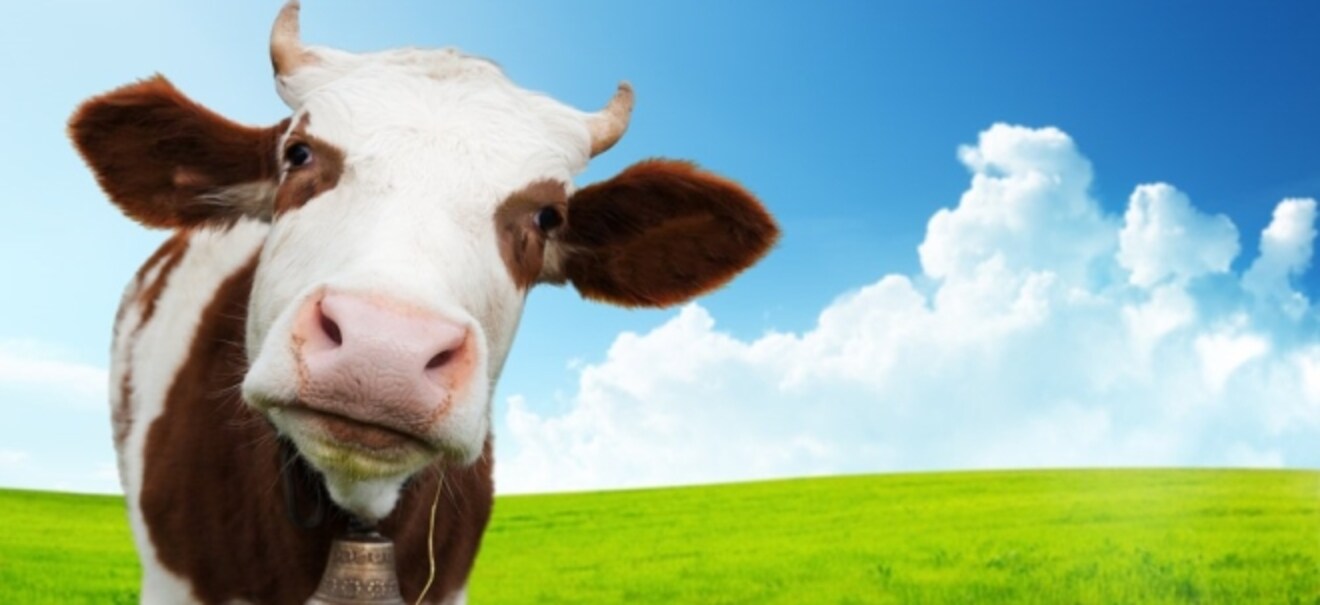 Pflanzliche Alternativen: Die Milch bekommt Konkurrenz | finanzen.net