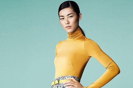 Liu Wen