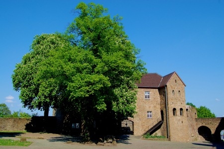Mülheim an der Ruhr
