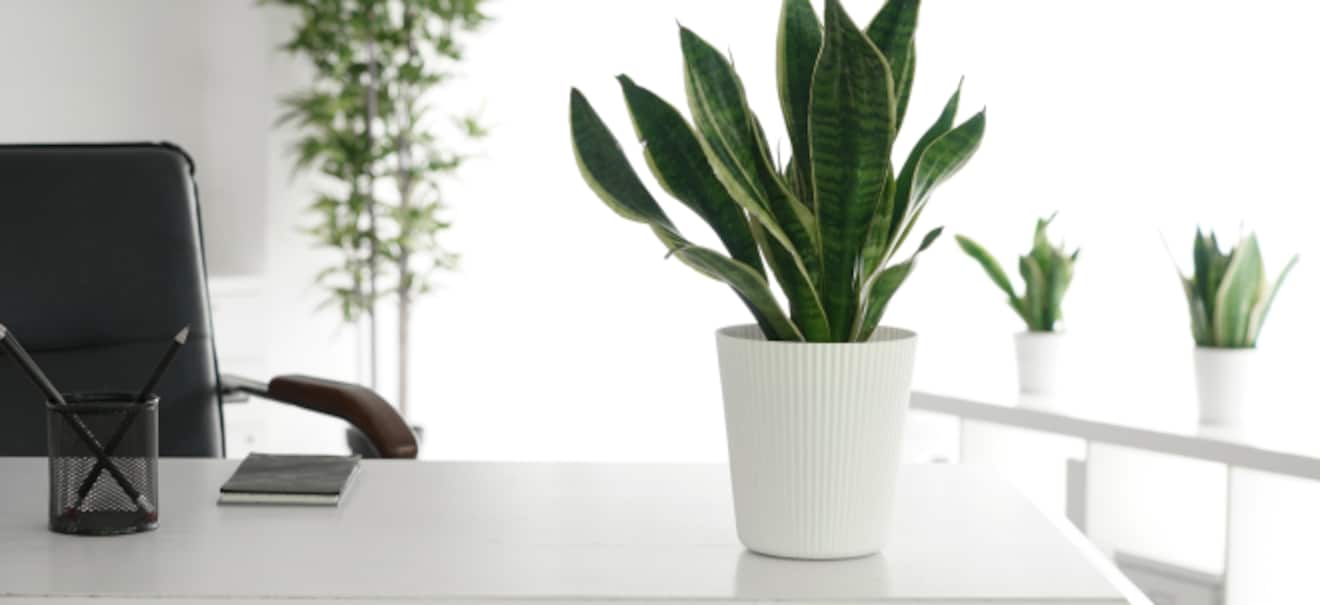 Pausenpflicht: Arbeitsrechtliche Pausenregelung: Was gilt für Arbeitgeber und Beschäftigte Unterschätzte Gefahr: Wer Pausenregelungen ignoriert, riskiert mehr als Geld | finanzen.net