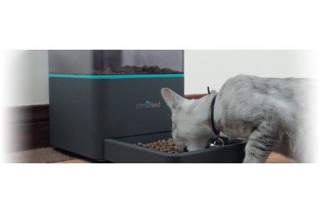 Tiere füttern über WLAN