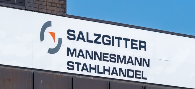 Januar 2024: So schätzen Experten die Salzgitter-Aktie ein | finanzen.net