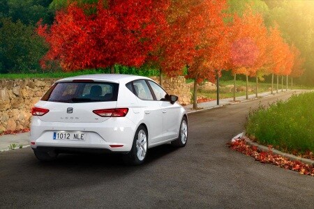 Seat Leon (0,5%)