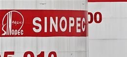 Sinopec-Aktie nach Gewinneinbruch unter Druck - volatile Ölpreise bewegen auch BP, Shell und ExxonMobil