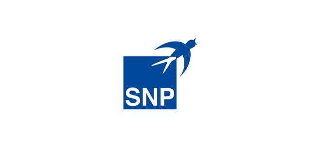 Neue Fuhrung Snp Aktie Gewinnt Snp Holt Chef Aus Eigenen Reihen Nachricht Finanzen Net