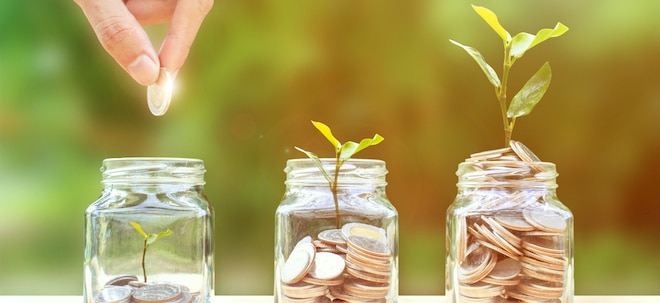 Nachhaltige Fonds: Warum ziehen sich Anleger aus ESG-Anlagen zurück? | Nachricht | finanzen.net