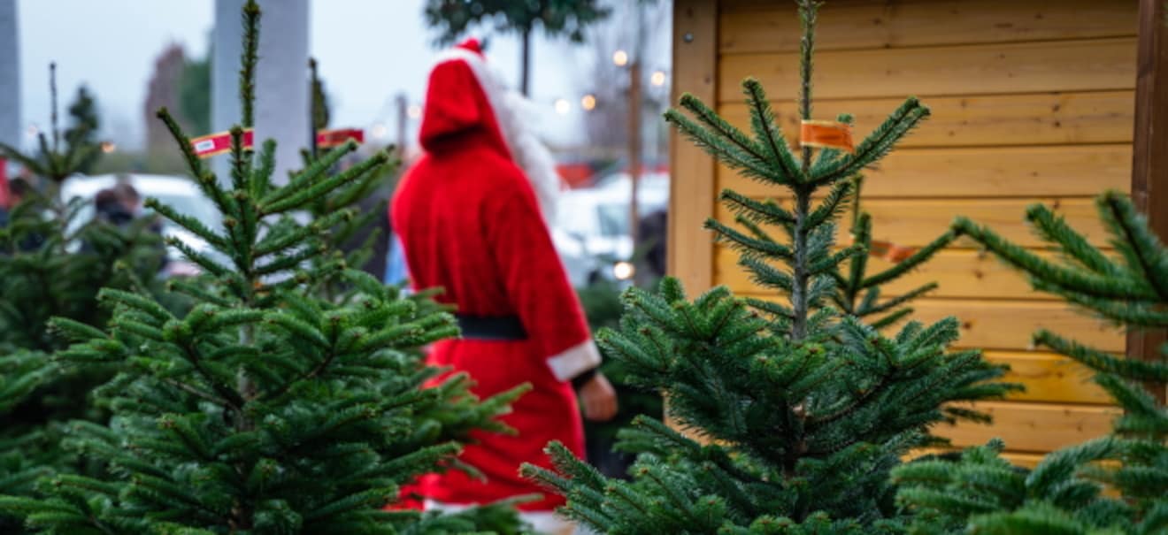 Geschenkideen: Stress im Job - diese Weihnachtsgeschenke könnten helfen Stressbewältigung im Job: Diese Weihnachtsgeschenke fördern Entspannung | finanzen.net