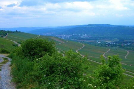 Weinstadt