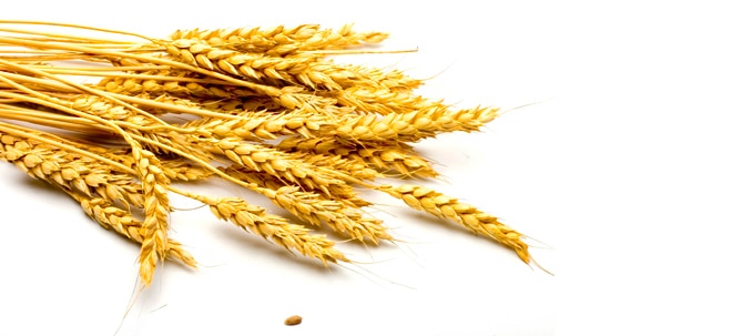 Wirtschaftsjahr 2021/22: Weizen und Co.: Ukraine exportierte trotz Krieg in den letzten 12 Monaten mehr Getreide | Nachricht | finanzen.net