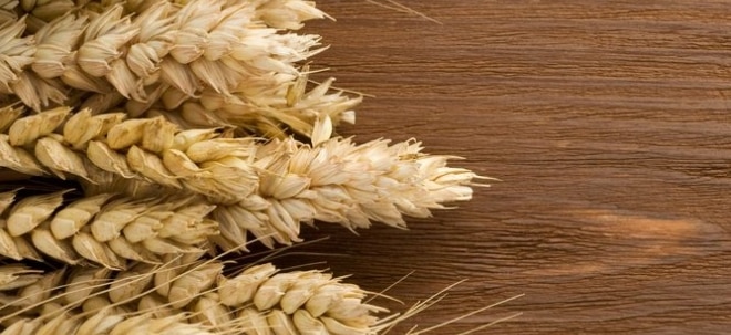 Ägypten will Importe senken: Weizenpreis fällt zeitweise auf tiefsten Stand seit Ende Februar | Nachricht | finanzen.net