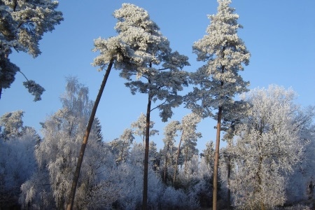 Russland
